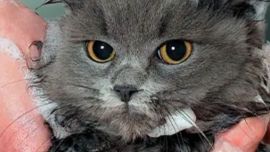 01-17_Bañarlos para que aprendan a disfrutar