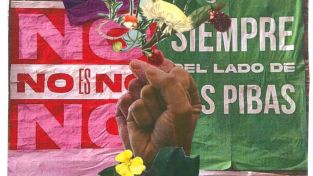 Ana Correa, fundadora de Ni una menos: "Será muy difícil para Milei derogar la ley que despenaliza el aborto"