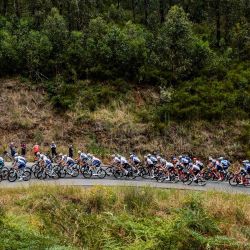 El pelotón recorre el campo durante la segunda etapa de la carrera ciclista Tour Down Under en Adelaida. | Foto:BRENTON EDWARDS / AFP