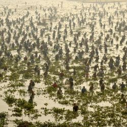 Los aldeanos participan en un evento comunitario de pesca con motivo del festival 'Bhogali Bihu' para marcar el final de la temporada de cosecha, en una brumosa mañana de invierno en el lago Bamuni, a unos 40 kilómetros de Guwahati, en el estado indio de Assam. | Foto:BIJU BORO / AFP