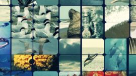 01-18_Historiadores, arqueólogos y paleontólogos consultan a OBIS