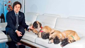 Milei y sus perros clonados