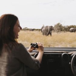 Botsuana: una aventura de safari única, llena de naturaleza en uno de los rincones más impresionantes mientras se disfruta del delta interior más grande del mundo.