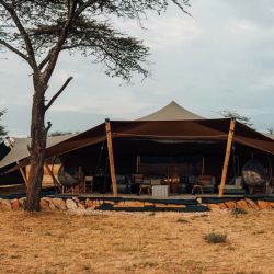 Los primeros campamentos móviles de lujo en Wilderness Usawa Serengeti, un nuevo proyecto pensado para observar la Gran Migración.