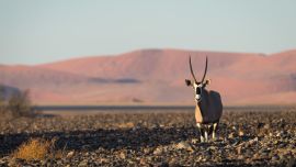 0119_namibia