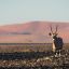0119_namibia