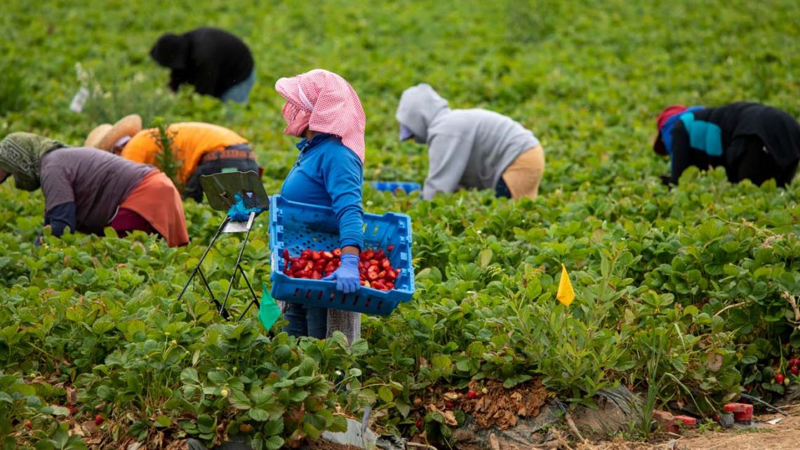 Mujeres migrantes en el mercado de trabajo: desafíos y compromisos