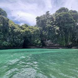 Isla Pájaros, Bocas del Toro, Panamá.