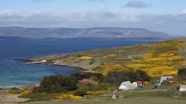 Puerto Argentino. Islas Malvinas 