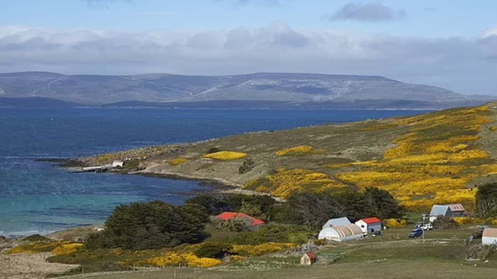 Puerto Argentino. Islas Malvinas 