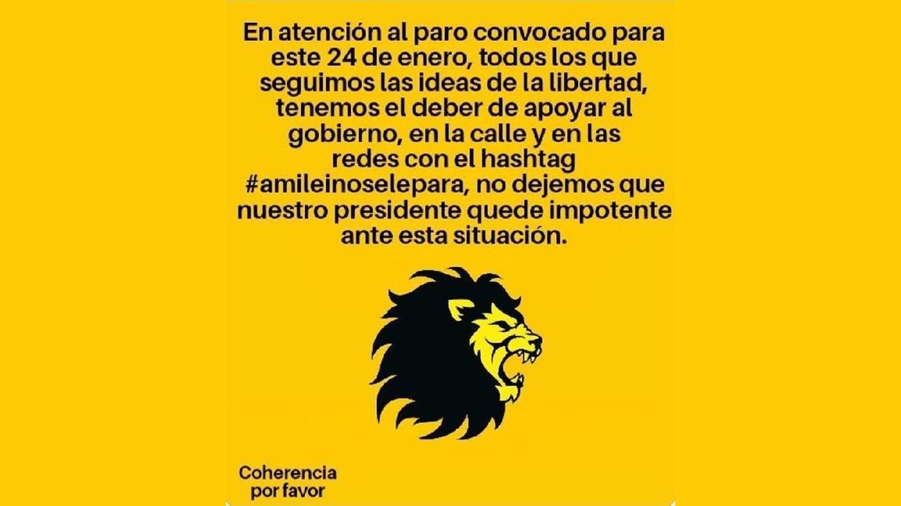 Afiches de los apoyos internacionales al Paro del 24 de enero contra el DNU y ajuste del gobierno de Milei.