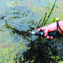 En febrero te ofrecemos un informe completo de actividades para hacer en el Delta. También, pesca en diferentes puntos del país, trekking y mucha aventura.