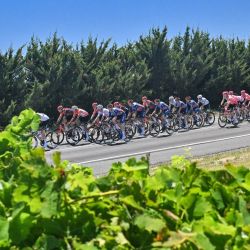 El pelotón recorre la península de Fleurieu durante la quinta etapa de la carrera ciclista Tour Down Under en Adelaida. | Foto:BRENTON EDWARDS / AFP