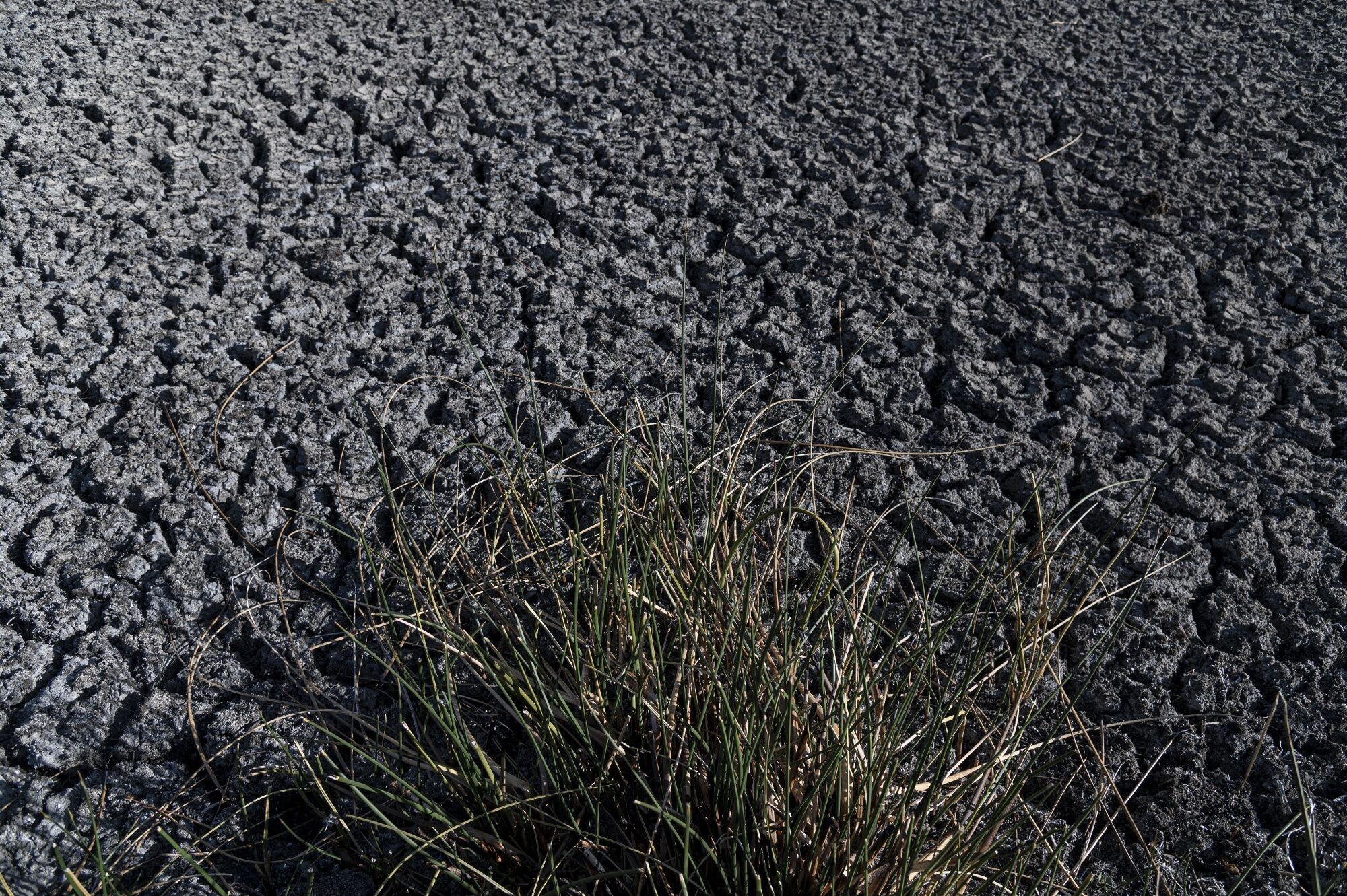 Low Water Levels During Drought Conditions at Lake Titicaca