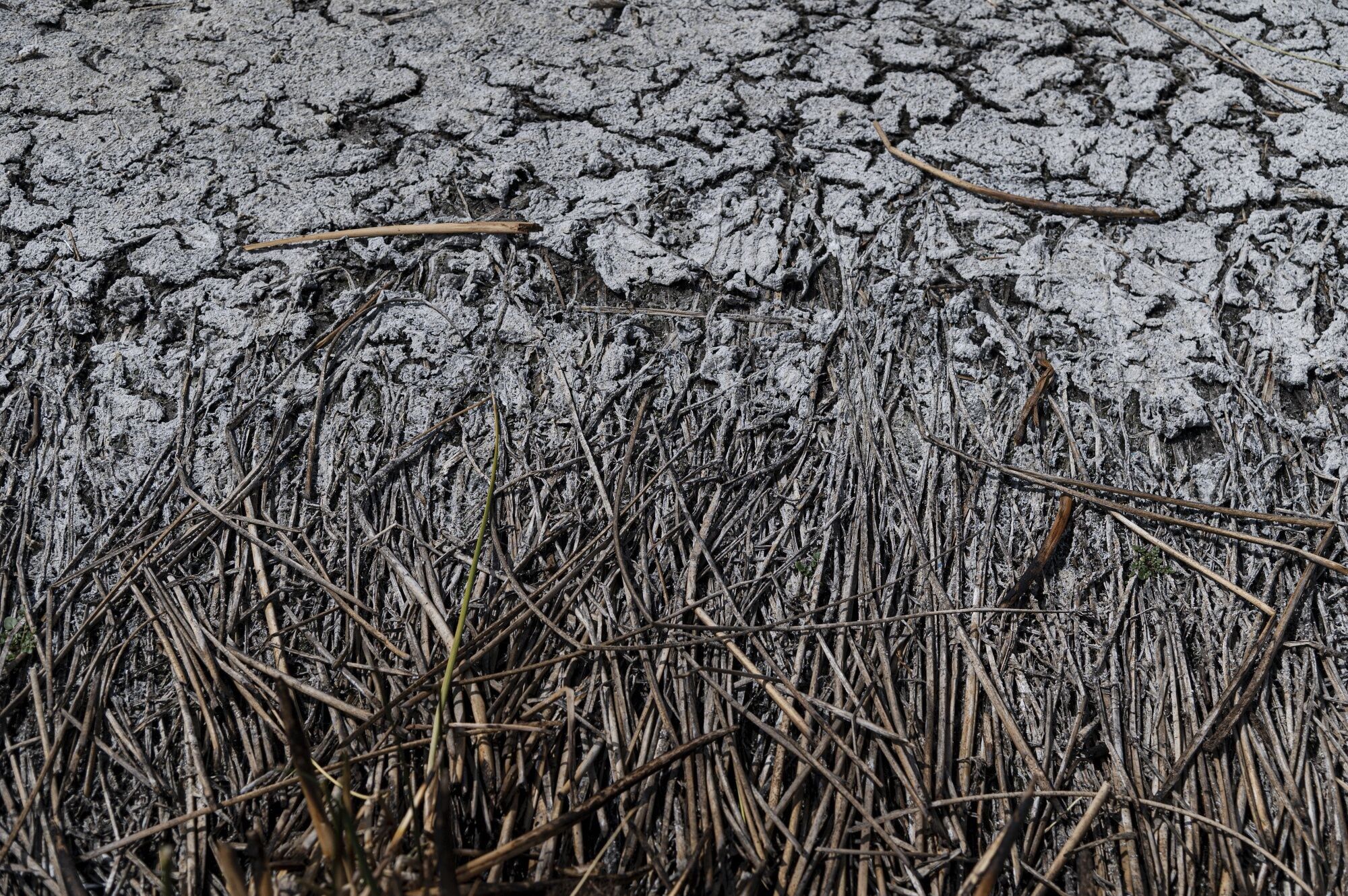 Low Water Levels During Drought Conditions at Lake Titicaca