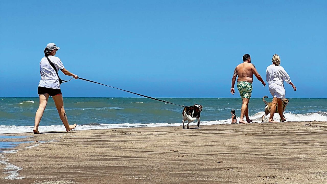 Mascotas de paseo por la playa. | Foto:Vicky Guazzone