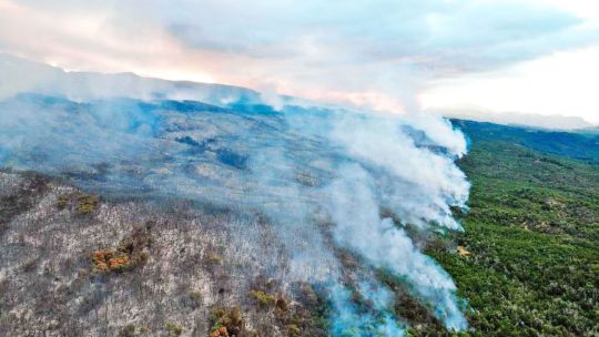 Patagonia: el fuego ya arrasó 577 hectáreas del Parque Los Alerces