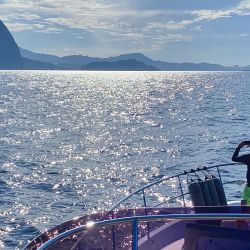 Desde Rio de Janeiro también se puede partir en barco para descansar y tener una vista privilegiada de su costa.
