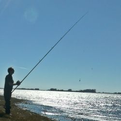 Dentro de la provincia de Buenos Aires es obligatorio contar con licencia de pesca, disposicion de la Ley Provincial de Pesca Nº 11477.