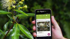 01-30_6 apps de ciencia serias para curiosos