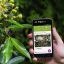 01-30_6 apps de ciencia serias para curiosos
