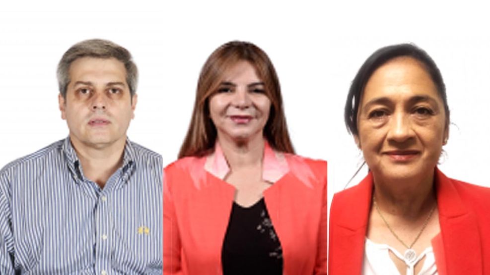 Diputados tucumanos de Unión por la Patria