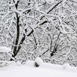 Un hombre quita la nieve del tejado de una casa tras la primera nevada del invierno en las afueras de Srinagar. Foto de TAUSEEF MUSTAFA / AFP | Foto:AFP