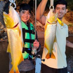 Febrero abre con expectativa por varias especies que están en ascenso, pero alertas por la falta de precipitaciones en las provincias del centro del país. 