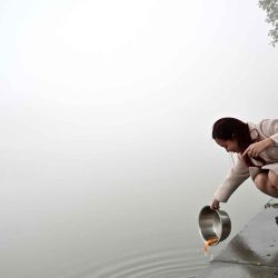 Una mujer suelta un pez en un lago en una mañana brumosa en Hanoi. Foto de Nhac NGUYEN / AFP | Foto:AFP