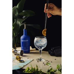 Navegante Gin | Foto:CEDOC
