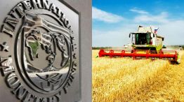 FMI y crisis agrícola