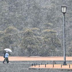 Los peatones caminan en un parque frente al Palacio Imperial en medio de una nevada en Tokio. Foto de Kazuhiro NOGI / AFP | Foto:AFP
