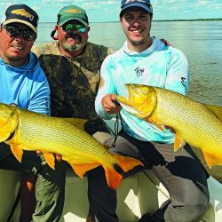 Momentos diferentes de ambos grupos protagonistas, mostrando un dorado medianito pescado en baitcasting y los hermanos Altieri intentando con morena viva sobre la costa del Paraná