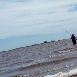 Blanca Chica y Tupungato son dos lagunas que atraen muchos pescadores por su cercanía con las localidades de Olavarría y Necochea.