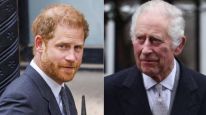 Como fue la reunión del príncipe Harry con el rey Carlos III