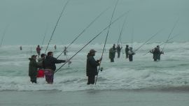 Millones en juego en distintas propuestas piscatorias a lo largo y ancho del país.