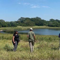 Ofrecerán cursos intensivos de observación de aves en Ciudad de Buenos Aires y en Esteros del Iberá.