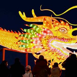 La gente se reúne para mirar la figura de un dragón gigante en un parque de Beijing, año Nuevo Lunar del Dragón. Foto de GREG BAKER / AFP | Foto:AFP
