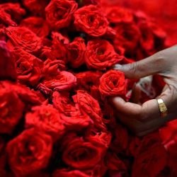 Un vendedor de flores prepara rosas para la venta en vísperas del Día de San Valentín en KR Market en Bengaluru. Foto de Idrees MOHAMMED / AFP | Foto:AFP