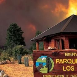 El fuego sigue arrasando con el Parque Nacional Los Alerces.