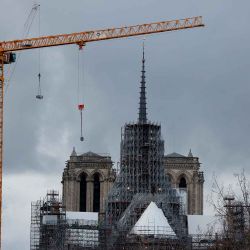 La gente trabaja en el sitio de reconstrucción de la Catedral de Notre-Dame de París. Foto de Ludovic MARIN / AFP | Foto:AFP