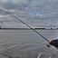 1702_lagunas