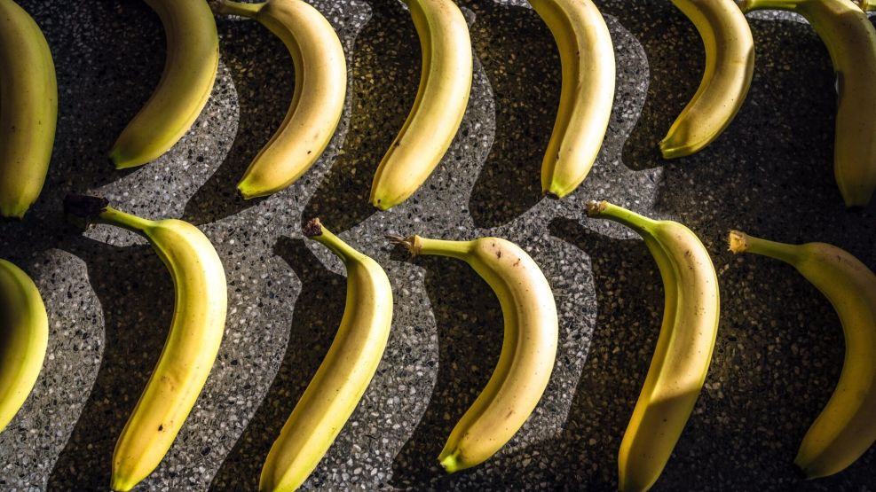 Rows Of Fresh Bananas