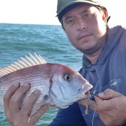 Tras un fin de semana extra largo, el pescador renueva las ilusiones y buscará aprovechar el buen clima que se avecina. 