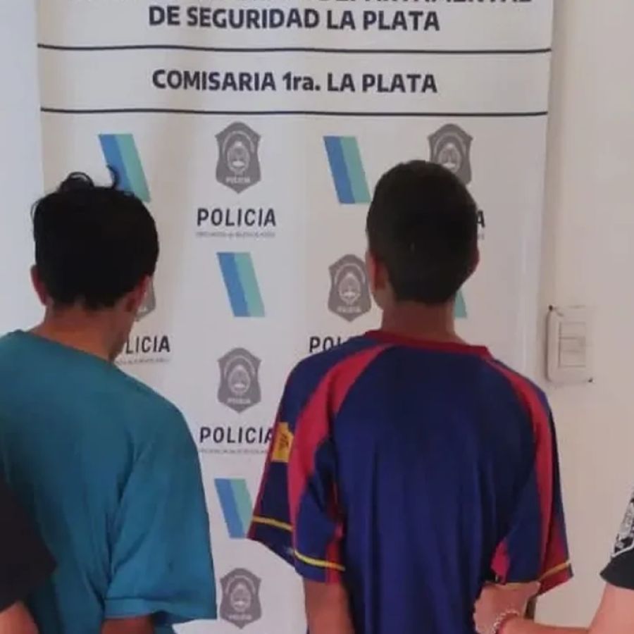 Vivir robando: tres hermanos de 15, 16 y 17 años acumulan casi 70  detenciones (y liberaciones) en La Plata | Perfil