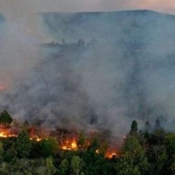 La Patagonia andina puede verse afectada aún más por los incendios forestales.