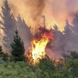  Los incendios forestales patagónicos podrían multiplicarse varias veces en los próximos años por culpa del cambio climático 