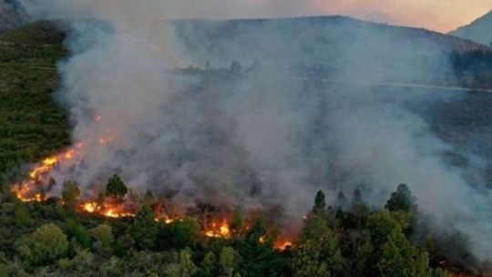 Por el cambio climático, en los próximos años los incendios en la Patagonia se multiplicarán con creces