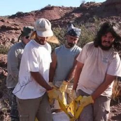 Los resots fueron encontrados en Neuquén.