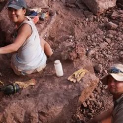 El hallazgo tomó por sorpresa a los científicos.